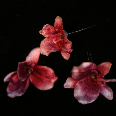 新款蝴蝶兰花朵发簪子发夹超仙纯欲花仙子刘海碎发夹繁花边夹发饰