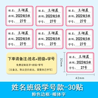 Розовый на белом фоне - имя + класс + номер студента [30 постов]