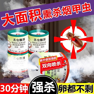 烟甲虫杀虫剂家用室内非无毒烟剂强力烟雾熏杀虫弹烟草虫诱捕神器