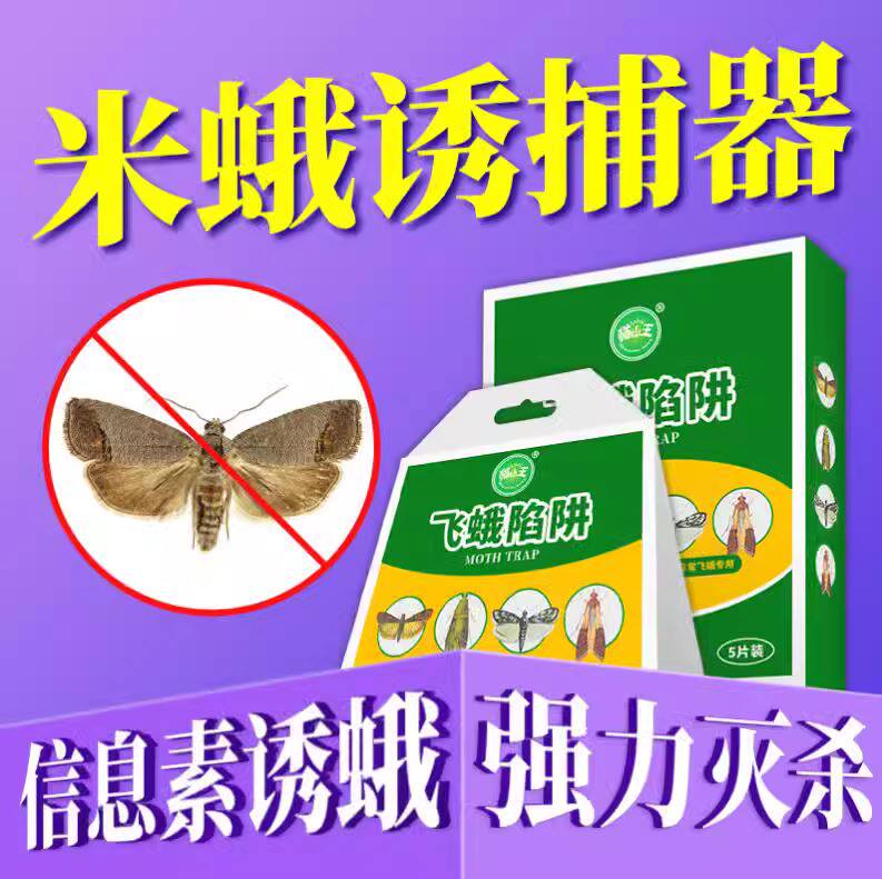 飞蛾诱捕器粘除米蛾子衣蛾家用小飞虫灭杀神器克星杀虫剂陷阱蚋蠓