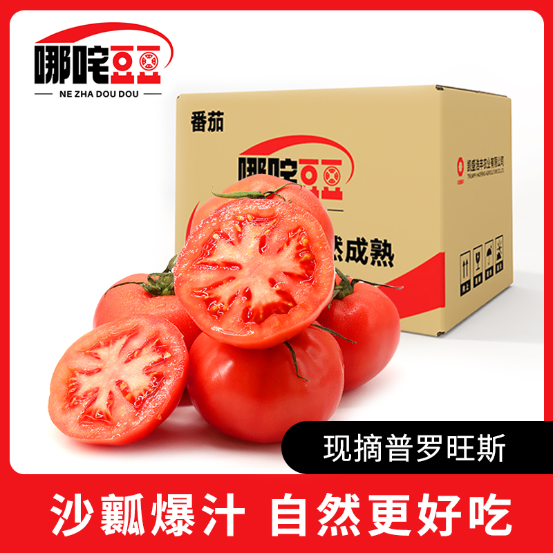 哪咤豆豆普罗旺斯西红柿沙瓤新鲜现摘水果番茄自然熟生吃柿子怎么看?