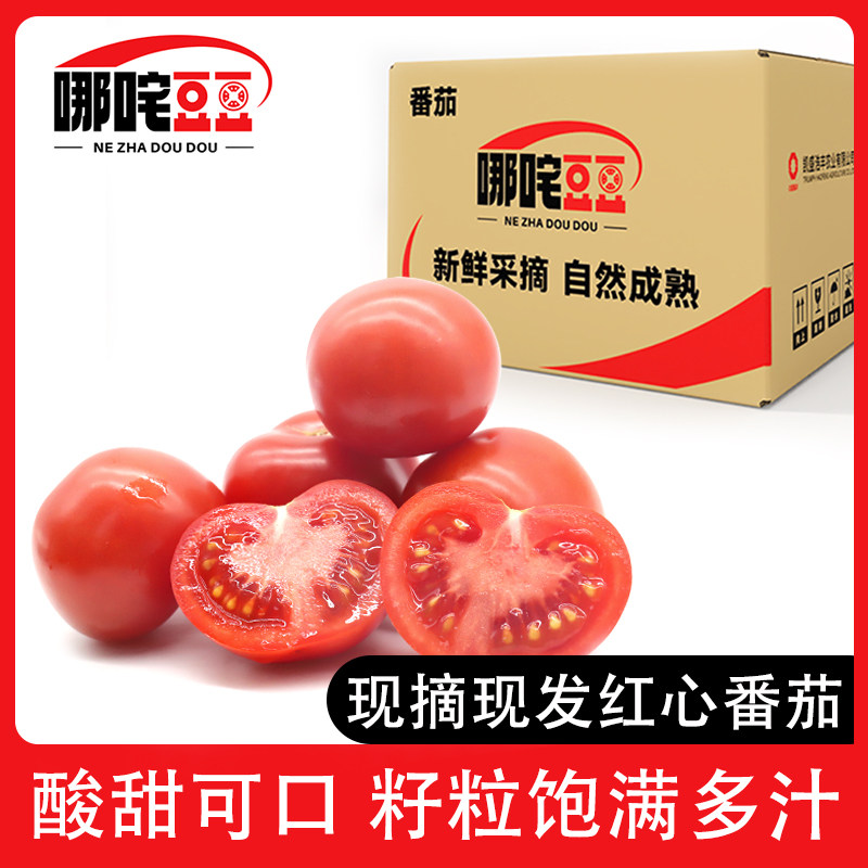 【哪咤豆豆】红心番茄自然熟西红柿可生吃即食水果小番茄新鲜蔬菜怎么看?