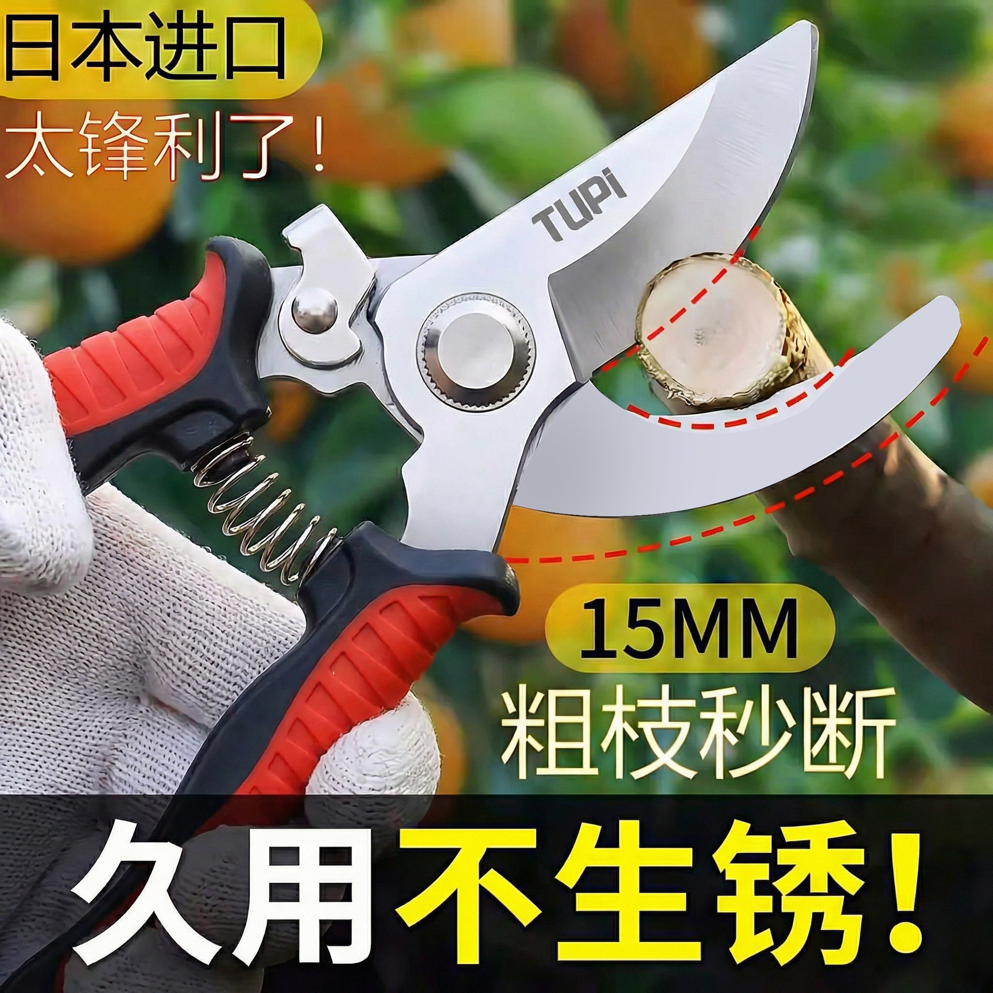 果树剪刀修枝剪强力粗枝剪省力家用SK5钢园林园艺摘果剪树枝专用图片