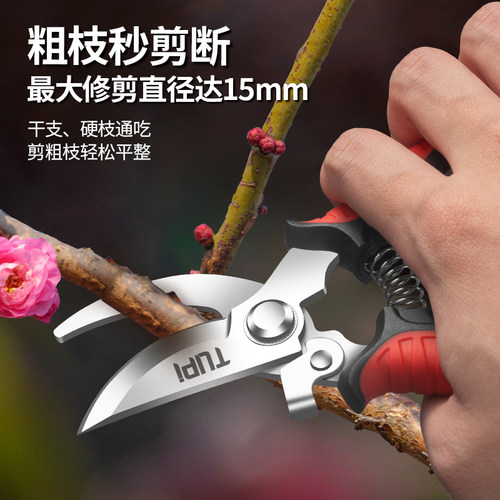 TUPI德国强力果树修枝剪园艺剪刀花卉剪刀粗枝剪枝剪树枝专用工具