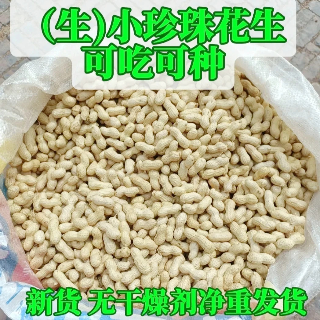 小籽花生当季新鲜珍珠花生