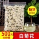 黄山白菊花新花2025特级正宗黄山贡菊500g清火泡水胎菊花草茶散装