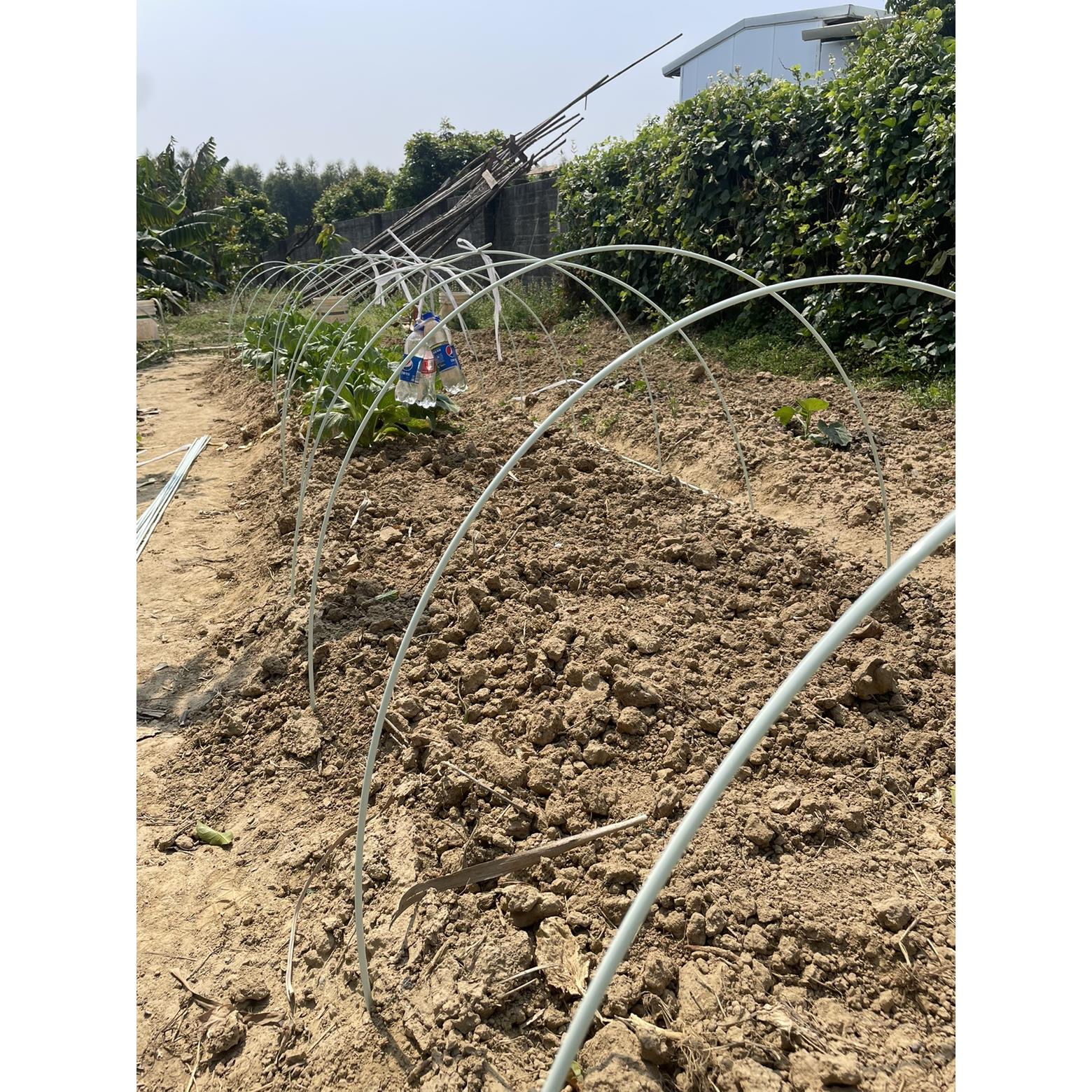 50支拍农用拱棚杆扶苗支架挂面杆小拱棚杆玻璃纤维棒