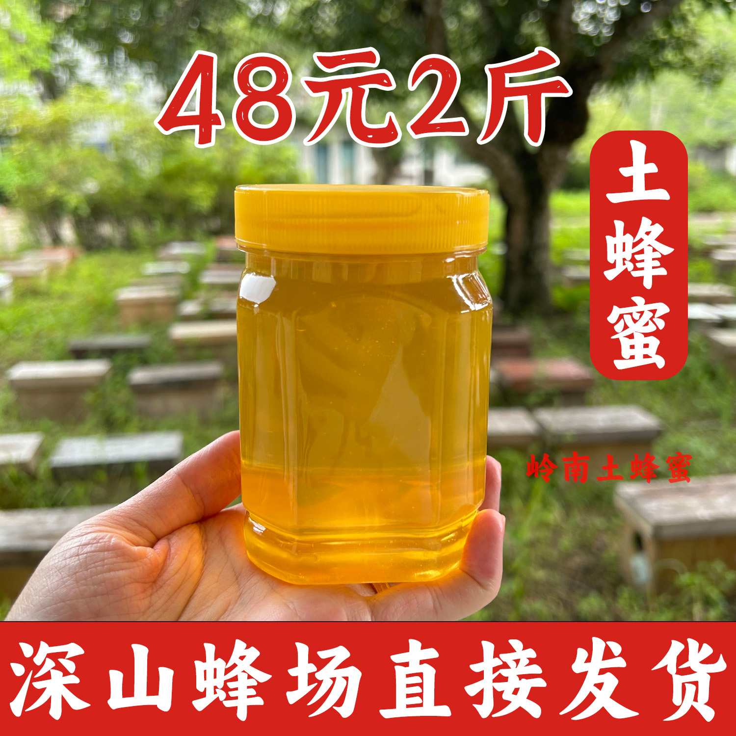 土蜂蜜纯正天然野生农家自产孕妇正宗无添加荔枝龙眼百花枇杷蜂蜜
