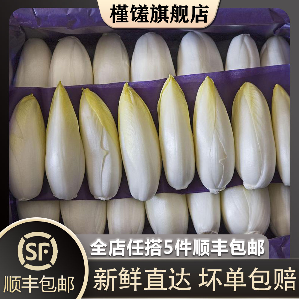 金玉兰菜500g欧洲菊苣芽球
