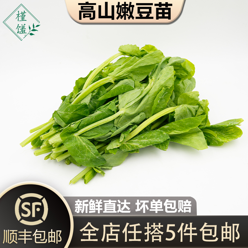 高山嫩豆苗150g/包清炒酒店料理