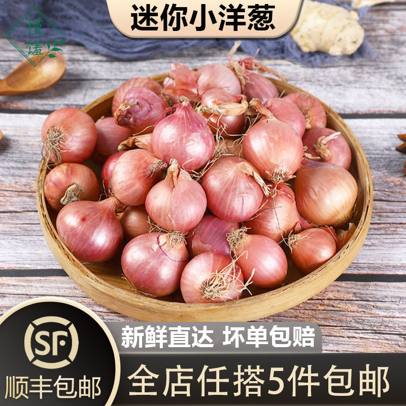 【槿馐】迷你小洋葱500g 新鲜生吃东北毛葱朱葱鬼子葱小圆葱,水产肉类/新鲜蔬果/熟食,洋葱/红葱头,淘宝优惠券,粉丝福利购,淘宝优惠卷