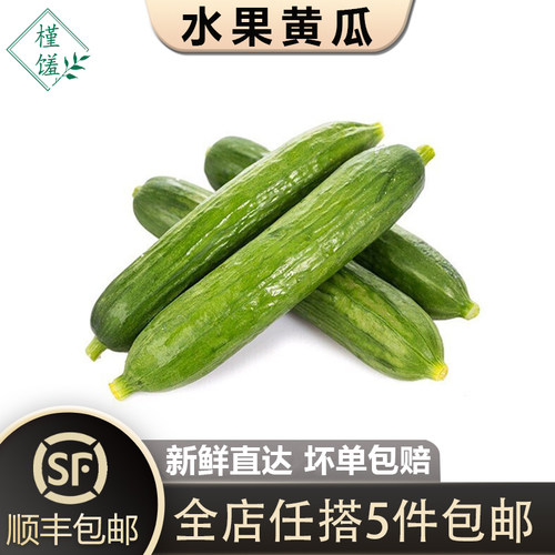 荷兰小黄瓜新鲜蔬菜沙拉食材