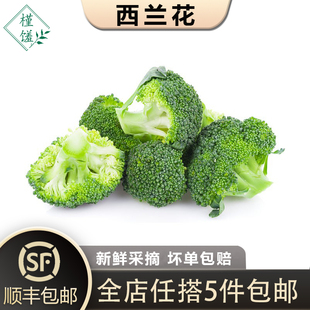 西兰花500g小颗西蓝花脆嫩青花菜绿花菜西蓝花椰菜农家菜 槿馐