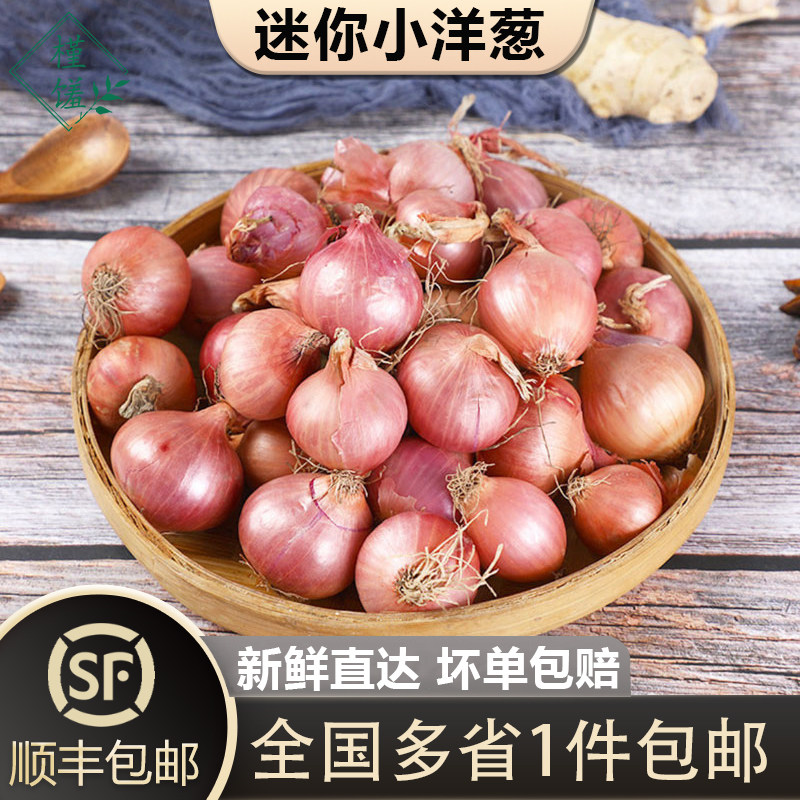 【槿馐】迷你小洋葱1-5斤 新鲜生吃东北毛葱朱葱鬼子葱小圆葱