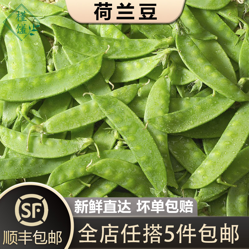 【槿馐】新鲜荷兰豆500克新鲜蔬菜甜豆青豆菜豌豆农家自种5件包邮