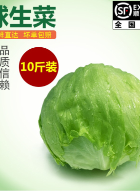 【槿馐】球生菜10斤装汉堡生菜轻食沙拉煎饼食材新鲜沙拉蔬菜批发