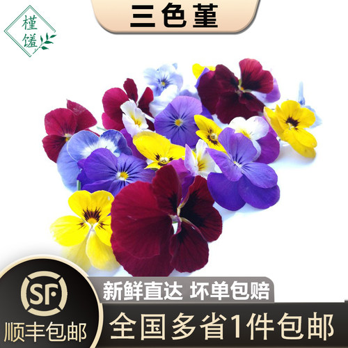 新鲜三色堇50朵/盒角堇瑾西餐