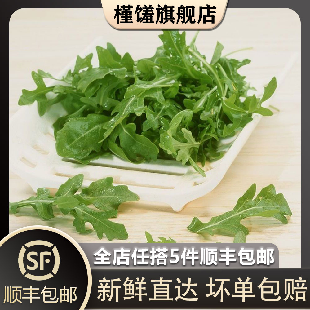 【槿馐】芝麻菜500g 火箭菜生菜新鲜蔬菜西餐沙拉食材 水产肉类/新鲜蔬果/熟食 叶菜类 原图主图