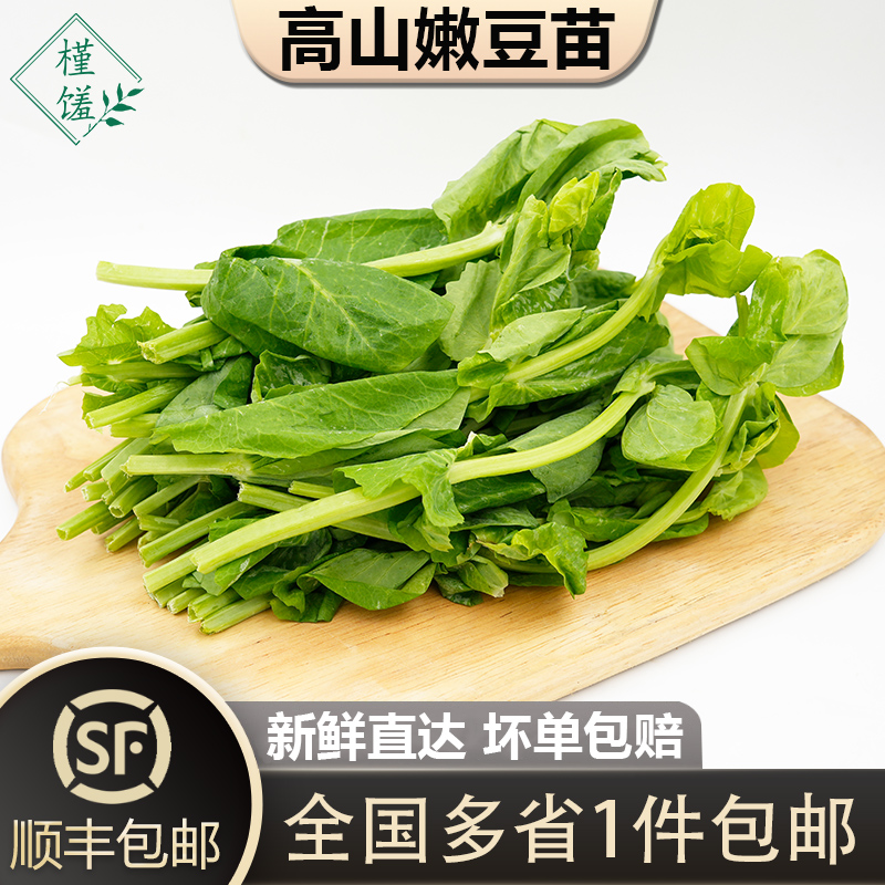 高山嫩豆苗150g/包清炒酒店料理