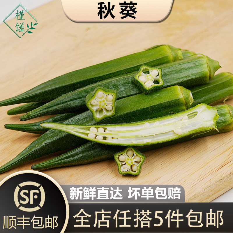 【槿馐】秋葵500g 新鲜黄秋葵 六角羊角豆洋辣椒农家自种 5件包邮