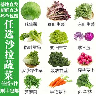 沙拉蔬菜可自选轻食材新鲜混合生菜生吃凉拌轻食西餐专用组合套餐