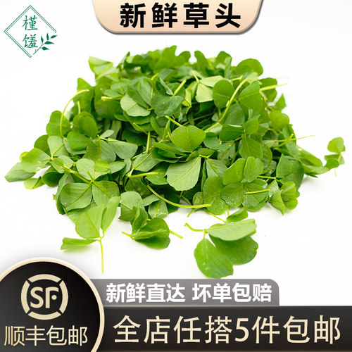 上海本地农家菜草头金花菜