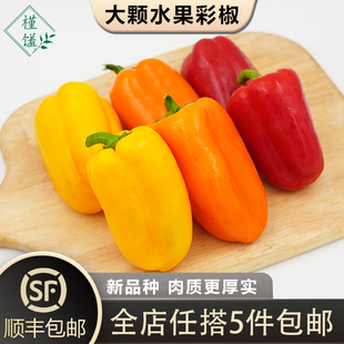 大水果彩椒1斤新鲜生吃彩椒甜椒辣椒沙拉凉拌蔬菜 槿馐