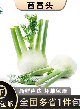 【槿馐】茴香头1-5斤 新鲜茴香根茴香球茎 西餐料理香料食材