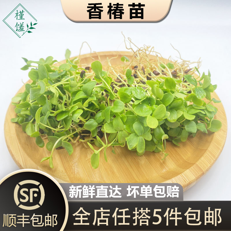 新鲜香椿苗1盒 芽苗菜香春苗西餐日料酒店摆盘装饰,水产肉类/新鲜蔬果/熟食,叶菜类,淘宝优惠券,粉丝福利购,淘宝优惠卷