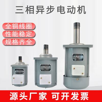 YDT250-2微型三相异步电动机ASF82A120W液压推动器用小型电机60W