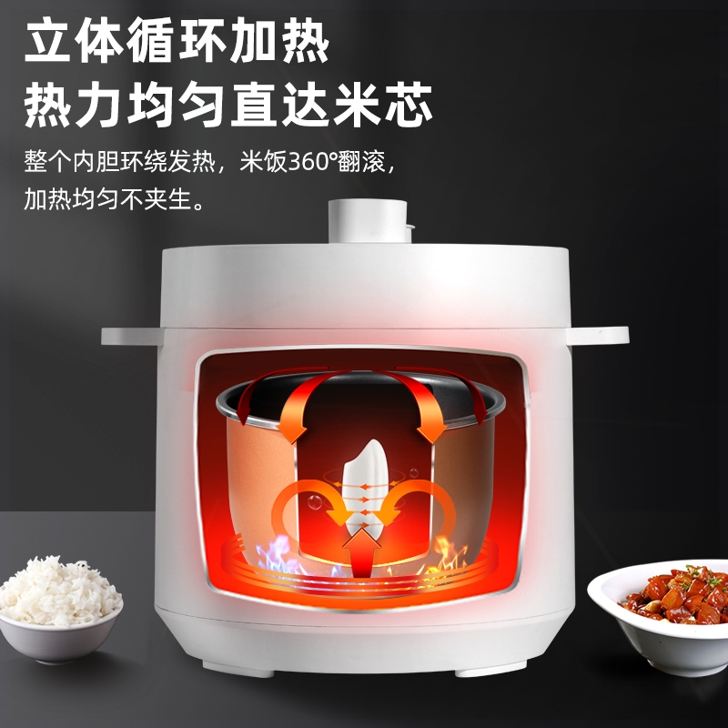 电压力锅迷你型预约智能小型电高锅多功能电饭煲定时出口款110V压