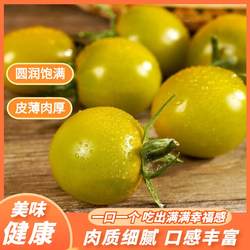 【现摘现发】寿光糖珀琥小番茄绿宝石樱桃圣女果酸甜水果小西红柿