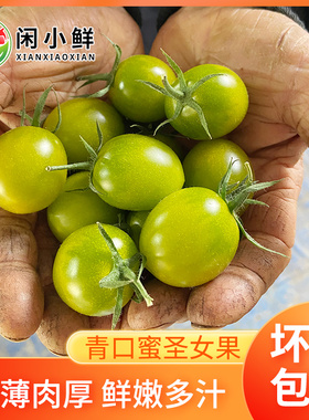 【京东顺丰】青口蜜圣女果绿色小番茄新鲜绿千禧超甜即食小柿子
