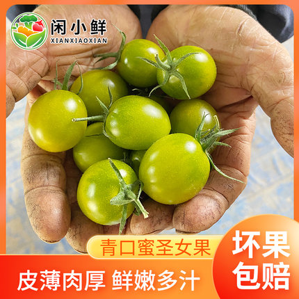 【京东顺丰】青口蜜圣女果绿色小番茄新鲜绿千禧超甜即食小柿子