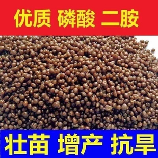 速溶二铵磷酸化肥降温剂小麦玉米水稻药材果树专用化肥二胺老牌子