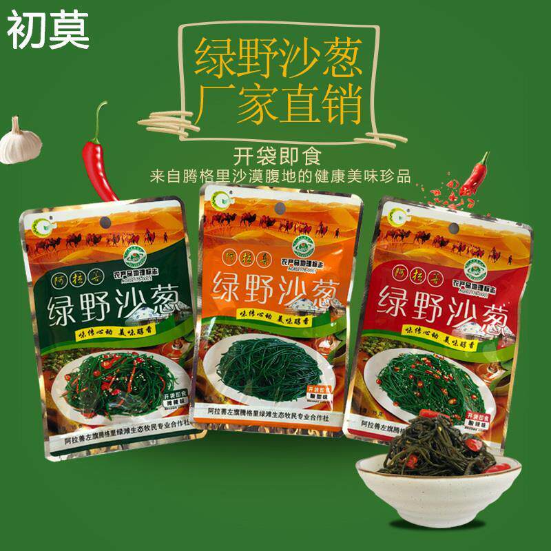 热销内蒙古阿拉善腾格里绿野沙葱西北特产咸菜下饭菜75g榨菜腌制