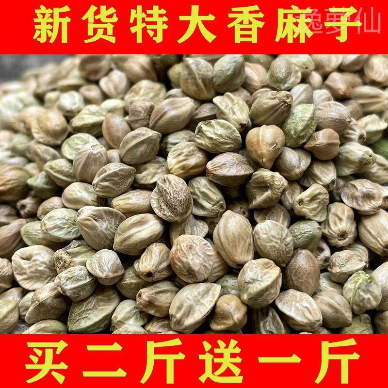 热销甘肃天水麻子大粒现炒五香生熟麻籽火麻子人吃食用500g买2送1