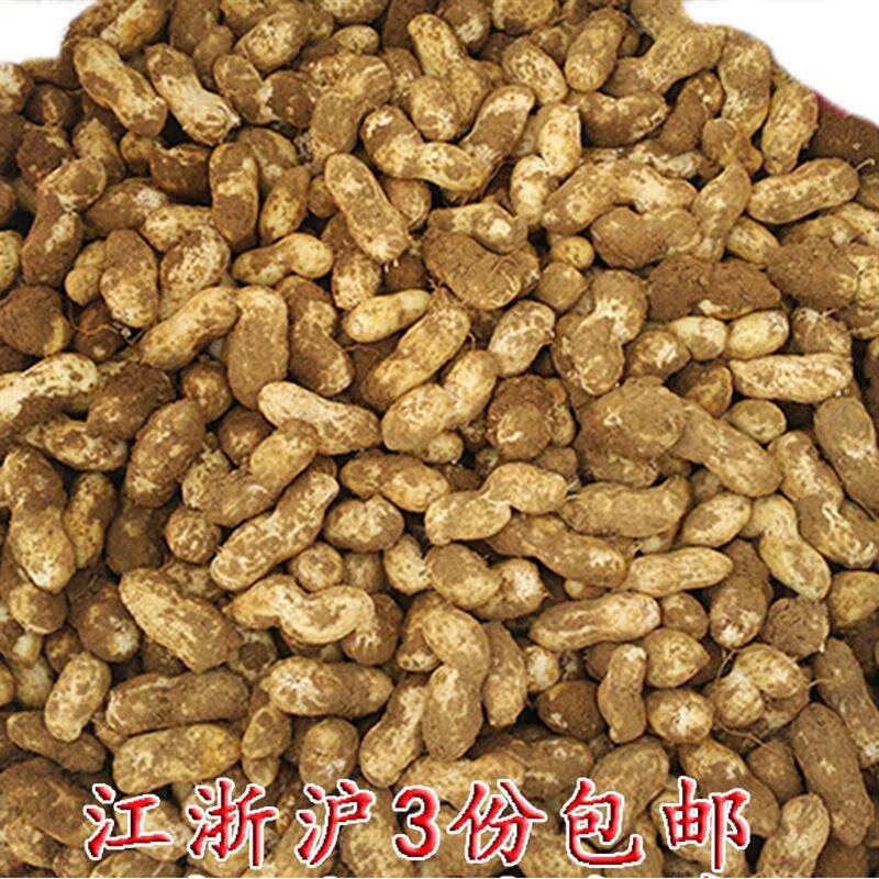 热销新昌特产新鲜小京生嫩花生嵊州小红毛冷盘水煮湿花生3斤现挖