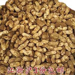 热销新昌特产新鲜小京生嫩花生嵊州小红毛冷盘水煮湿花生3斤现挖