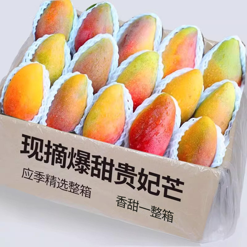 海南贵妃芒新鲜芒果应当季水果树上熟红金龙辣椒芒甜心芒大果整箱