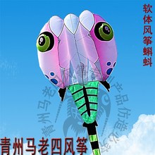 伞布蝌蚪 拉力大飞行稳可做领航 潍坊青州马老四软体风筝原创专利