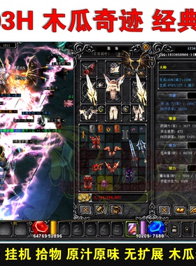 奇迹Mu单机版1.03H经典木瓜奇迹自动挂机全屏吸怪捡物GM工具联机