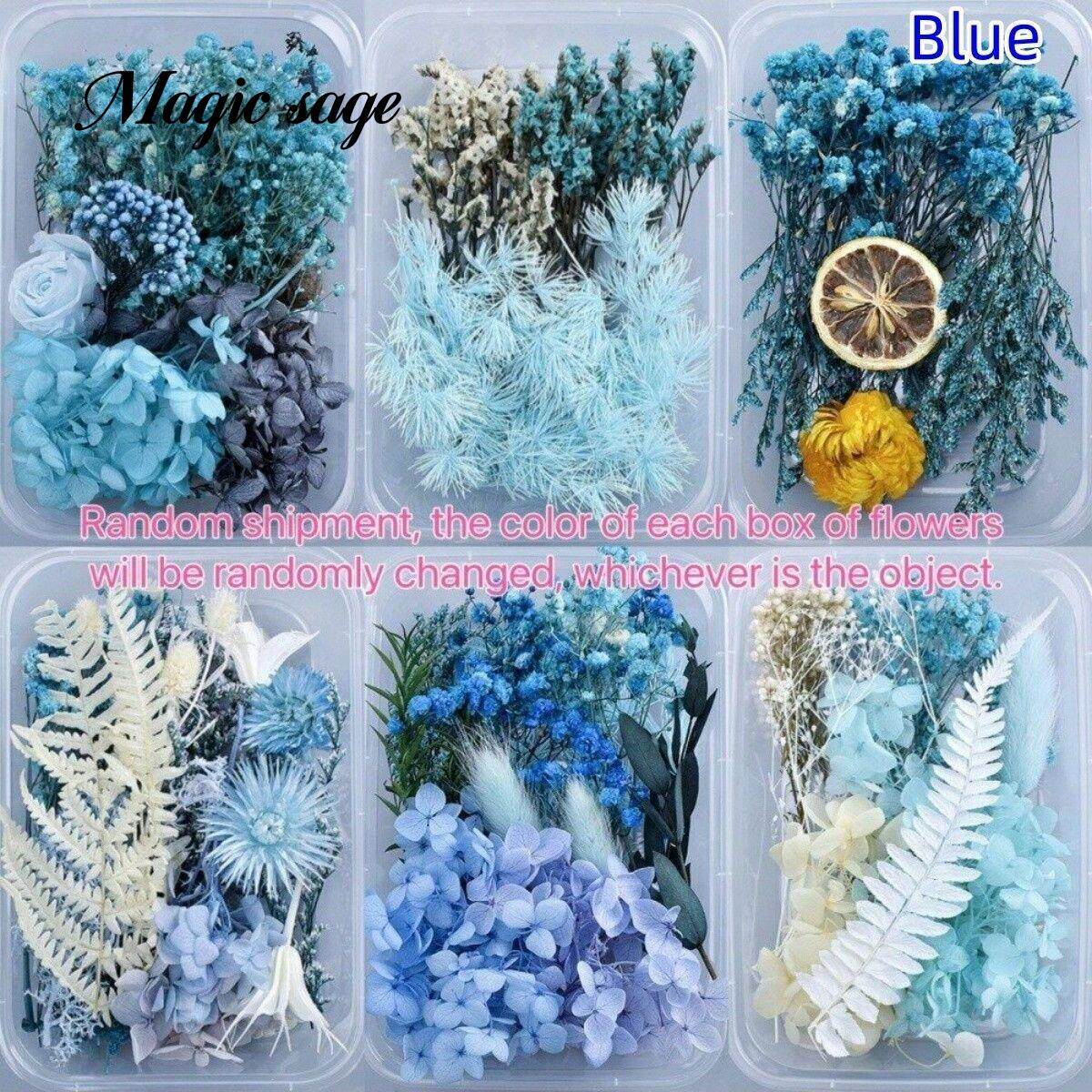 永生花diy材料干花鞋盒装饰花