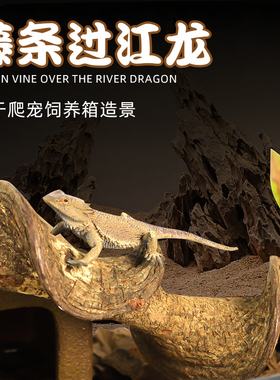 树蛙睫角树栖攀爬树藤过江龙藤爬宠饲养箱造景植物藤条藤蔓爬宠箱