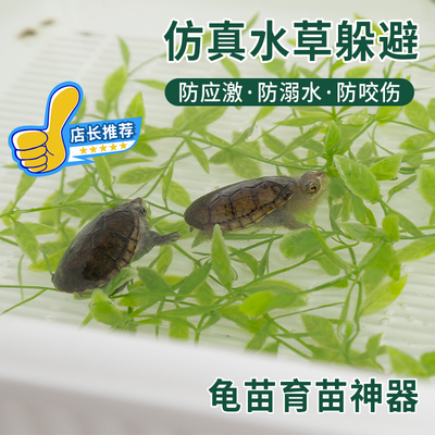 乌龟躲避水草仿真水草躲避应激环境造景仿真假叶子防溺水草龟蛋龟