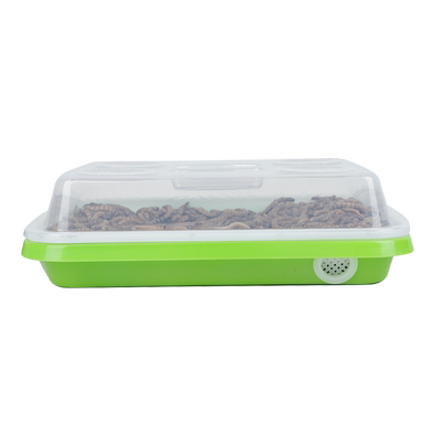 reptishow面包虫饲养盒带滤屎