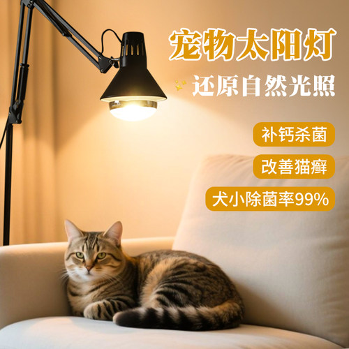 宠物阳光灯全光谱加热室内