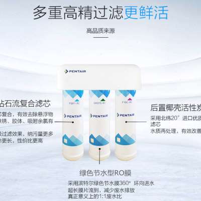 滨特尔GRO350B/375B450B反渗透活性炭膜替换滤芯家用直饮机净水器