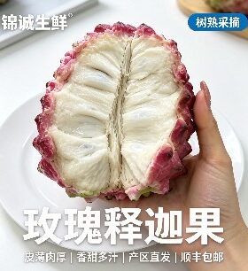顺丰空运 海南玫瑰释迦果新鲜水果大目凤梨牛奶番荔枝礼盒装