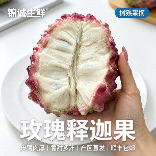 顺丰空运 海南玫瑰释迦果新鲜水果大目凤梨牛奶番荔枝礼盒装